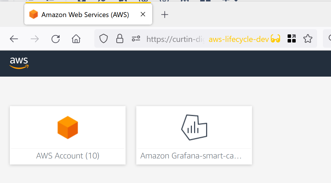perform a login into aws management console