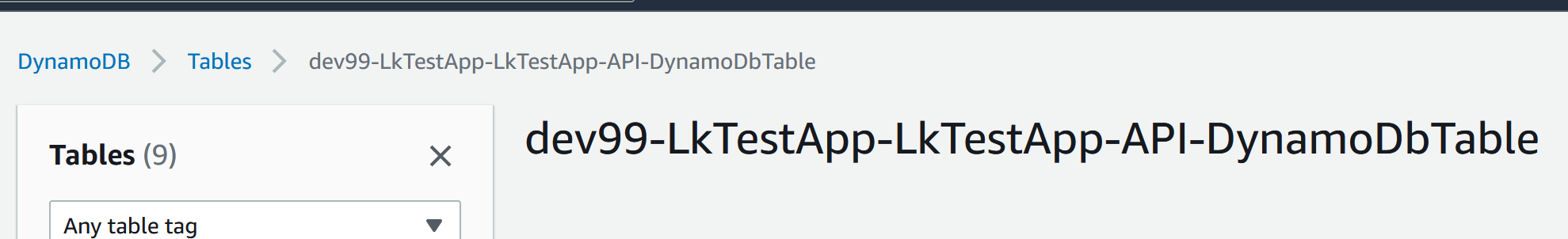 finding dynamodb resource name and locating the table instance